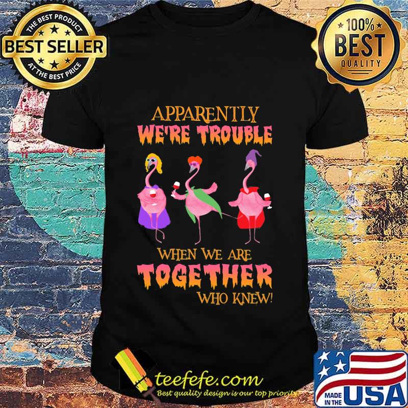 Apparently We're Trouble When We Are Together Who Knew Wine Flamingo Witch Halloween Shirt