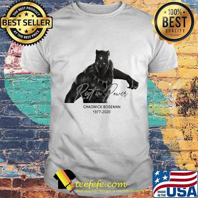 Black panther rip chadwick rester power 1977 2020 shirt