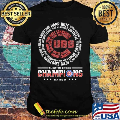 Chicago cubs nl central division champions fly the w shirt