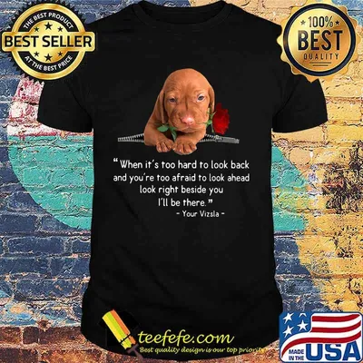 Dachshund when it's too hard to look back and you're too afraid to look ahead look right beside you i'll be there your vizsla rose shirt