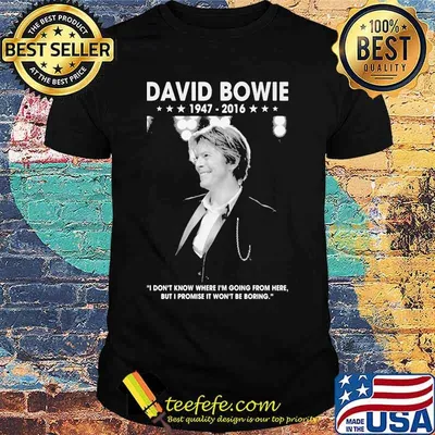 David bowie 1947 2016 i don't know where i'm going from here but i promise it won't be boring shirt