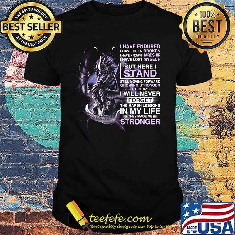 Dragon i have endured i have been broken i have known hardship i have lost myself shirt Dragon i have endured i have been broken i have known hardship i have lost myself shirt