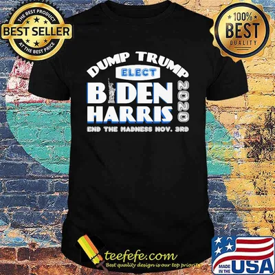 Dump trump elect joe biden kamala harris 2020 end the madness shirt
