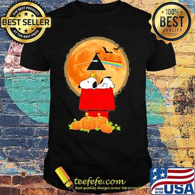 Happy halloween snoopy pumpkins pink floyd band shirt