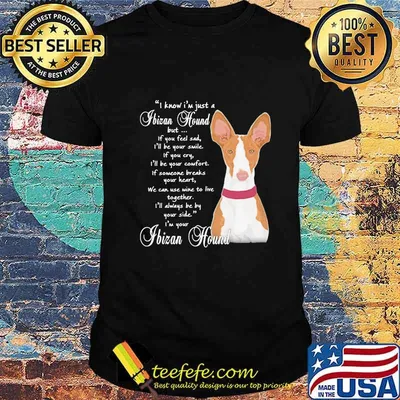 I know i'm just a ibizan hound but if you feel sad i'll be your smile if you cty shirt