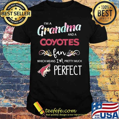 I'm a grandma and a coyotes fan which means i'm pretty much perfect shirt