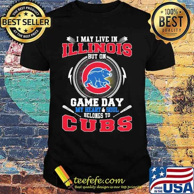 I may live in illinois but on game day my heart and soul belongs to chicago cubs shirt