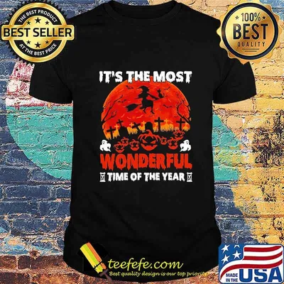 It's The Most Wonderful Time Of The Year Witch Black Cat Halloween Shirt