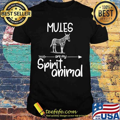 Mules Are My Spirit Animal Gift For Men Women Donkey Horse T-Shirt