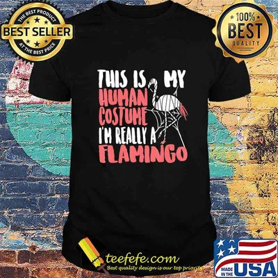 My Human Costume I'm Really A Flamingo Mummy Cute Halloween T-Shirt