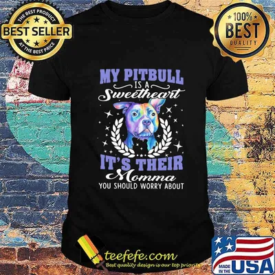 My pitbull is a sweetheart it's their momma you should worry about shirt