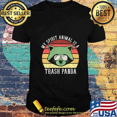 My Spirit Animal Is A Trash Panda Funny Raccoon Meme Gift Sweatshirt