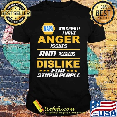 Napa walk away i have anger issues and a serious dislike for stupid people shirt