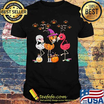 Official Flamingo Halloween shirt