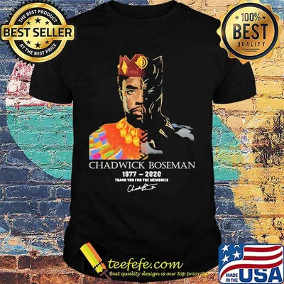 Rip chadwick black panther 1977 2020 thank you for the memories signature art shirt