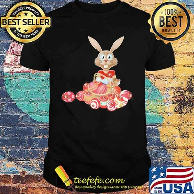 Thanksgiving day rabbit bunny san francisco 49ers eggs shirt