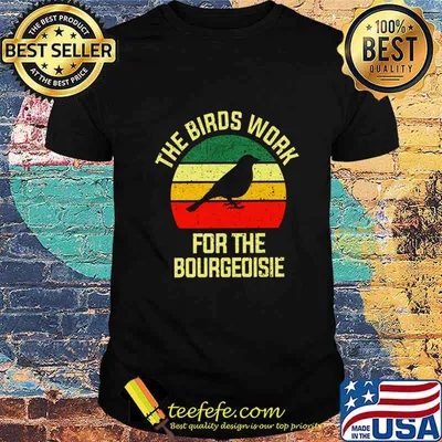 The Birds Work For The Bourgeoisie Conspiracy Theory T-Shirt