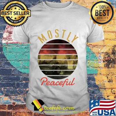 Vintage 2020 Mostly Peaceful Sarcasm Protest Election Year T-Shirt