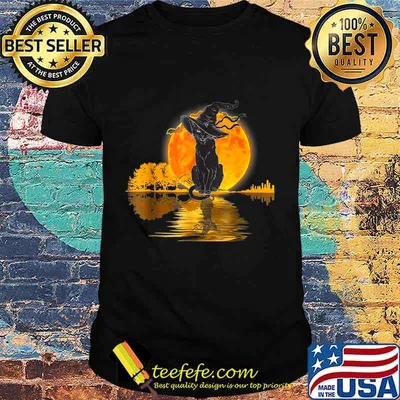 Vintage Halloween Scary Black Cat Witch Hat Moon Witchy Gift T-Shirt