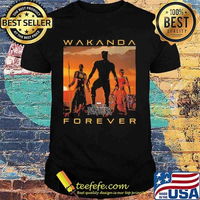 Wakanda forever black panther chadwick rip poster shirt