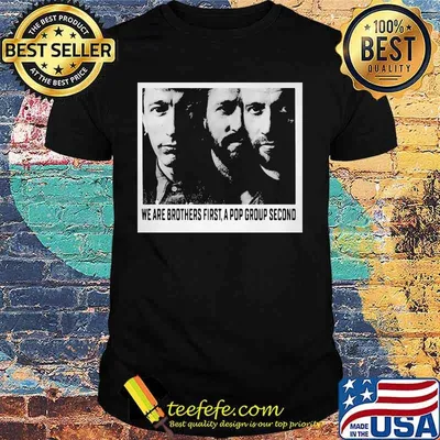 We are brothers first a pop group second shirt