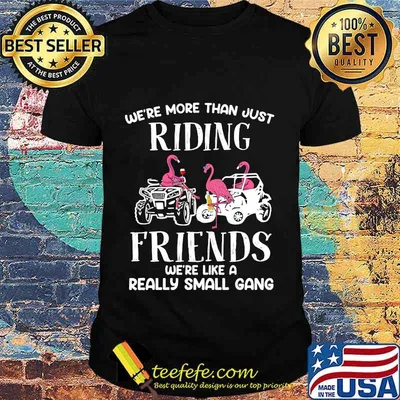 WE'RE MORE THAN JUST RIDING FRIENDS WE'RE LIKE A REALLY SMALL GANG ATV FLAMINGOS SHIRT