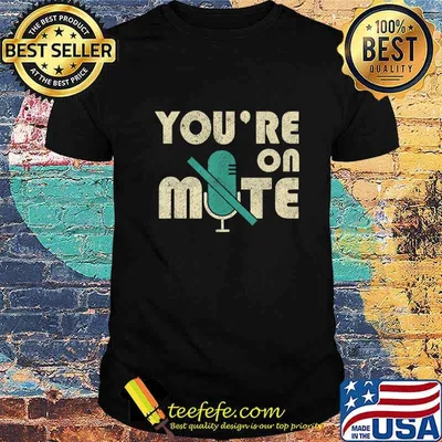 Youre On Mute Telecommute Working From Home Gift Men Women T-Shirt
