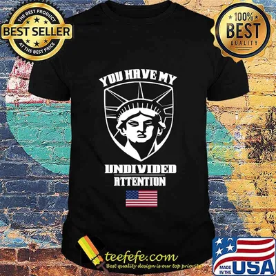 Angry Statue of Liberty - You Have My Undivided Attention T-Shirt