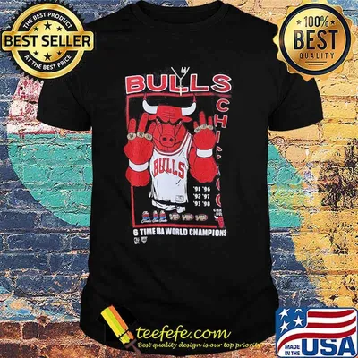 Chicago bulls 6 time nba world champions shirt