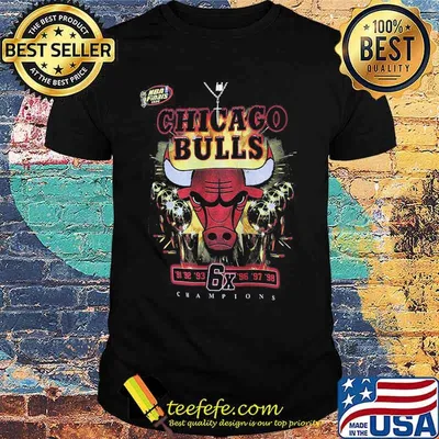 Chicago bulls 6x nba finals 1976 champions shirt
