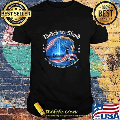 Eagle united we stand land of the fire home of the brave shirt