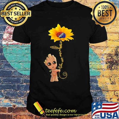 Groot hug Sunflower you are my sunshine shirt