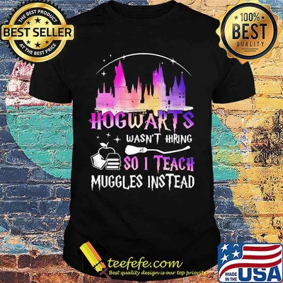 Hogwarts wasn't hiring so i teach muggles instead shirt