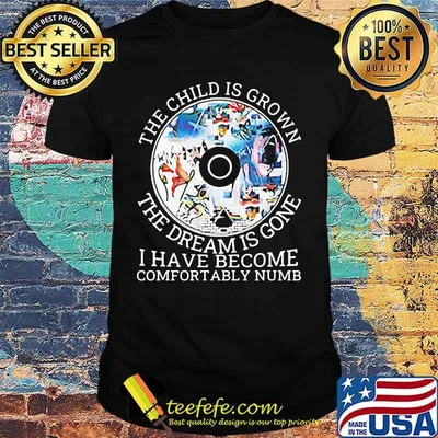 Pink floyd band cd the child is grown the dream is gone and i have become comfortably numb shirt