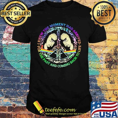 Pink floyd band i knew the moment has arrived the past and coming back to life shirt