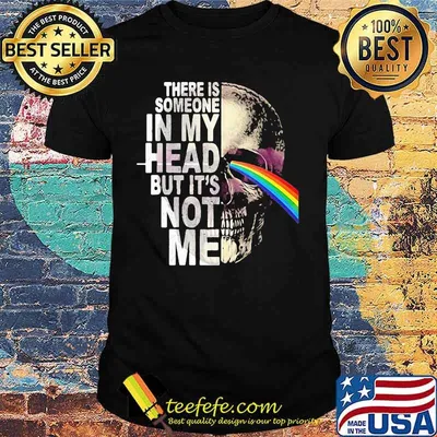 Pink floyd band skull there is someone in my head but it's not me shirt
