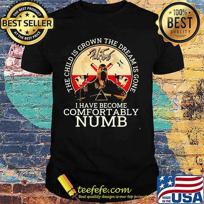 Pink floyd band the child is grown the dream is gone and i have become comfortably numb satan shirt