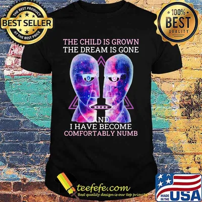 Pink floyd band the child is grown the dream is gone and i have become comfortably numb shirt