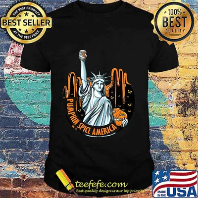 Pumkin Spice of America T-Shirt