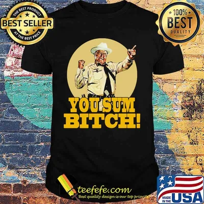 Smokey and the bandit you sum bitch shirt
