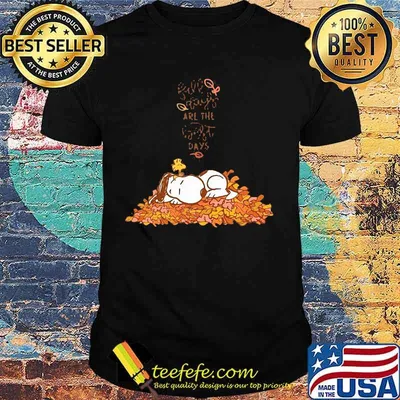 Snoopy fall plays are the first day shirt