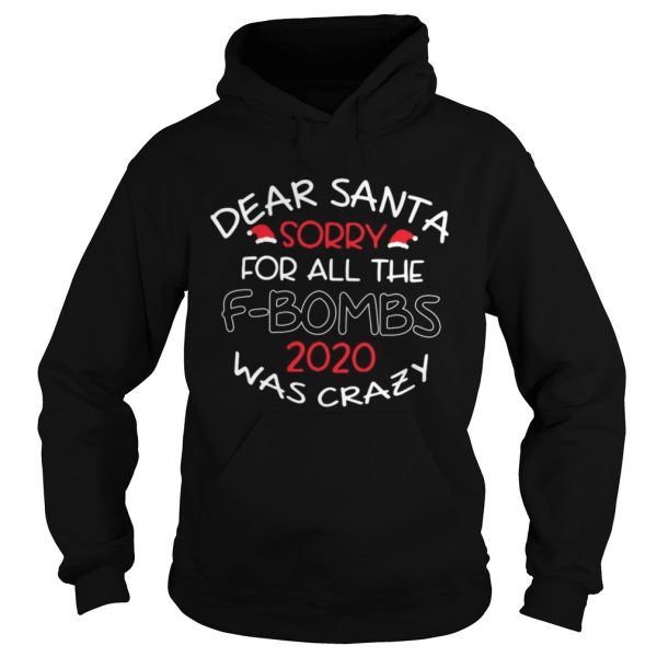 Dear-Santa-Sorry-For-All-The-F-bombs-2020-Was-Crazy-Christmas-Hoodie-600x600-1.jpg
