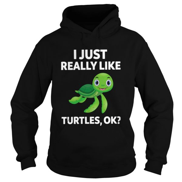 I-Just-Really-Like-Turtles-Ok-Hoodie-600x600-1.jpg