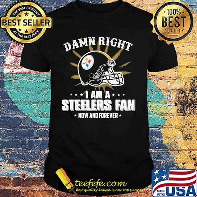 Damn right i am a pittsburgh steelers fan now and forever shirt