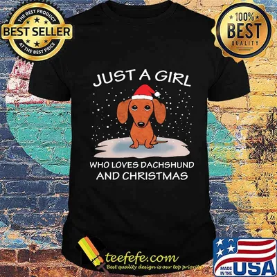 Just A Girl Who Loves Dachshund And Christmas Shirt