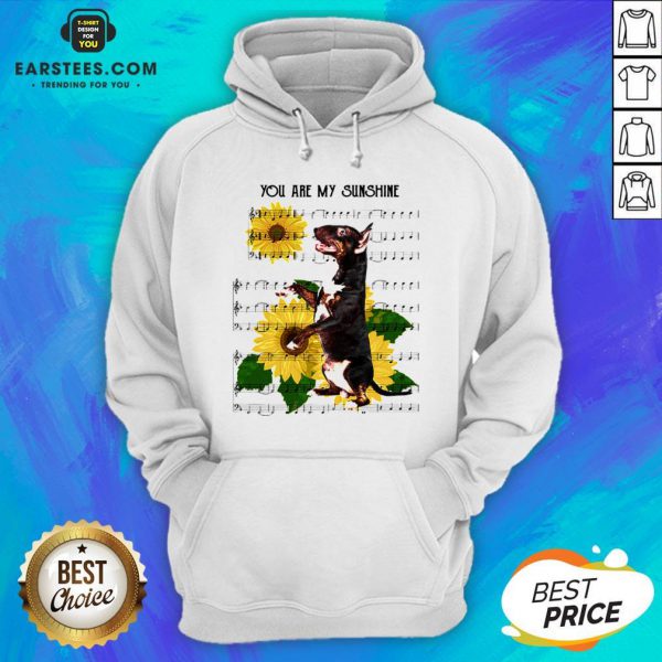 nice-bull-terrier-you-are-my-sunshine-hoodie-600x600-1.jpg