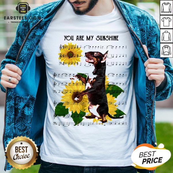 nice-bull-terrier-you-are-my-sunshine-shirt-600x600-1.jpg