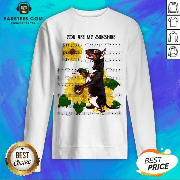 nice-bull-terrier-you-are-my-sunshine-sweatshirt-600x600-1.jpg