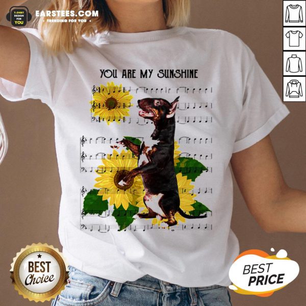 nice-bull-terrier-you-are-my-sunshine-v-neck-600x600-1.jpg