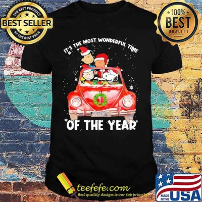 Peanuts snoopy woodstock sally brown it's the most wonderful time of the year shirt